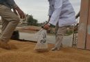 وزارة التجارة تعلن استمرار استلام محصول الحنطة وتسليم مستحقات المزارعين