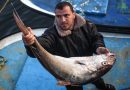 اعتقال 83 صيادا للاسماك في السليمانية