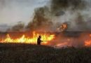 الدفاع المدني يخمد حريقا نشب في مخلفات محاصيل الحنطة في صلاح الدين