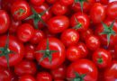 الزراعة: زيادة الطلب على الطماطم تسببت بارتفاع اسعاره في العراق