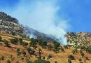 قصف تركي يطال جبل قنديل في دهوك