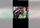 مكتب الحلبوسي ينفي مضمون فيديو متداول بشأن شخص يدّعي فيه إهداءه سيارة