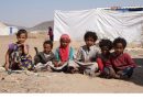 اليمن على اعتاب المجاعة … برنامج الغذاء العالمي يحذر