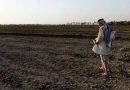 العراق يواجهون موسماً عسيراً والزراعة تلجأ للخطط الرديفة
