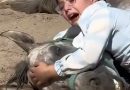 الشيخ محمد بن راشد يهدي طفلة عراقية مجموعة خيول بعد وفاة حصانها