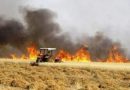 محافظ صلاح الدين: داعش حرق حقول الحنطة بالهواتف المحمولة