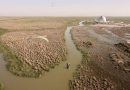 الموارد المائية: عودة مناسيب نهري دجلة والفرات الى وضعها الطبيعي