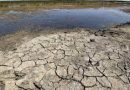 سيل نيوز تنشر تقريرا خطرا بمناسبة اليوم العالمي لمكافحة التصحر والجفاف