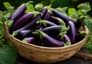 الباذنجان يمد الإنسان بـ7 فوائد مذهلة