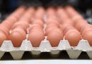 الزراعة تعلن ضبط أسعار البيض وتلوح بفتح الاستيراد ومعاقبة “المحتكرين”