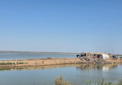 الموارد المائية :انتعاش هور الحويزة بعد موجة الأمطار الأخيرة الموارد المائية :انتعاش هور الحويزة بعد موجة الأمطار الأخيرة