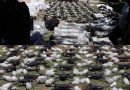 الداخلية السورية: إحباط تهريب شحنة أسلحة قادمة من العراق عبر الحدود السورية الداخلية السورية: إحباط تهريب شحنة أسلحة قادمة من العراق عبر الحدود السورية