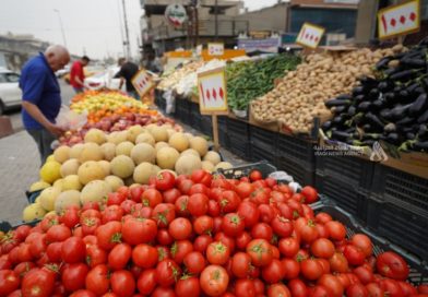 العراق يمنع استيراد 33 مادة من المحاصيل الزراعية العراق يمنع استيراد 33 مادة من المحاصيل الزراعية